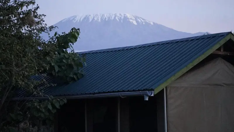 Amboseli Bush Camp hotel in Amboseli