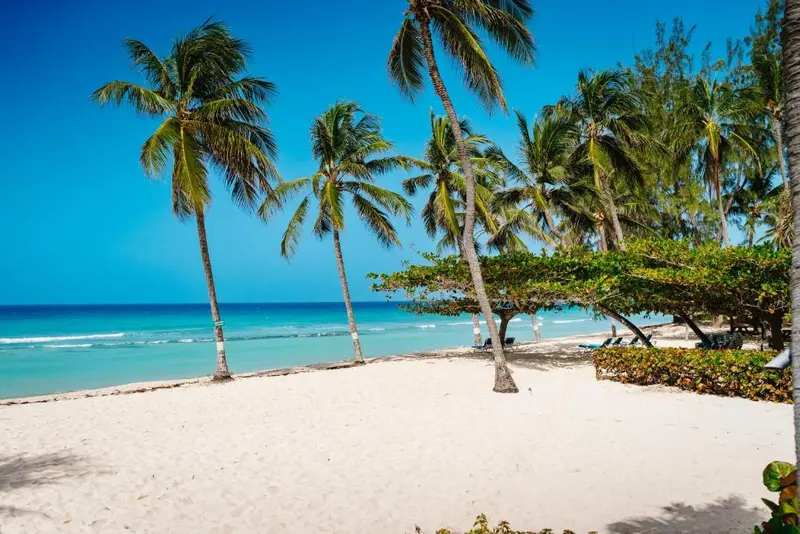 Christ ChurchのHastingsにあるCoconut Court Beach Hotel