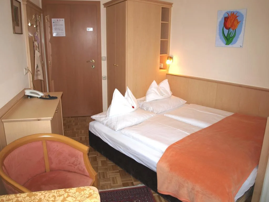 Hotel Alpenblick hotel in Zell am See