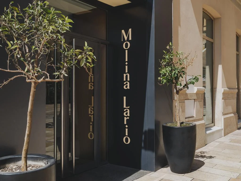 Hotel Molina Lario hotel in Malaga