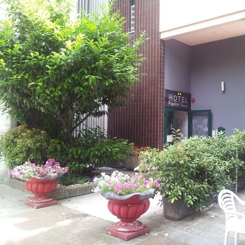 Hotel Papillon hotel in Ciudad del Este