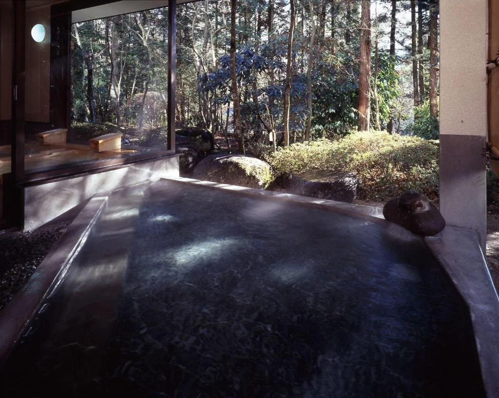 Hotel Seikoen hotel in Nikko