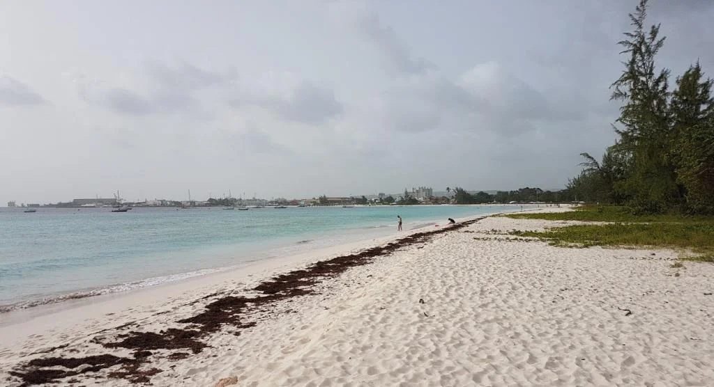 Island Inn Hotel hotel in Bridgetown