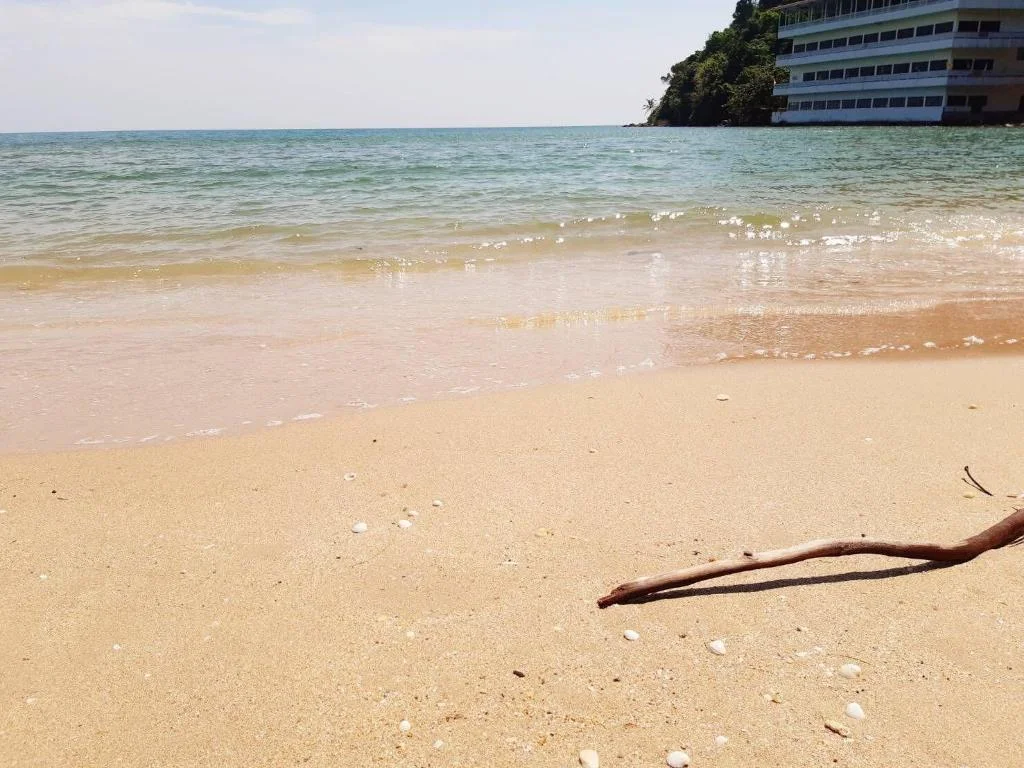 Jungle Bay Resort hotel in Delices