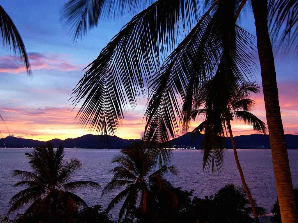 Lub d Phuket Patong hotel in Phuket