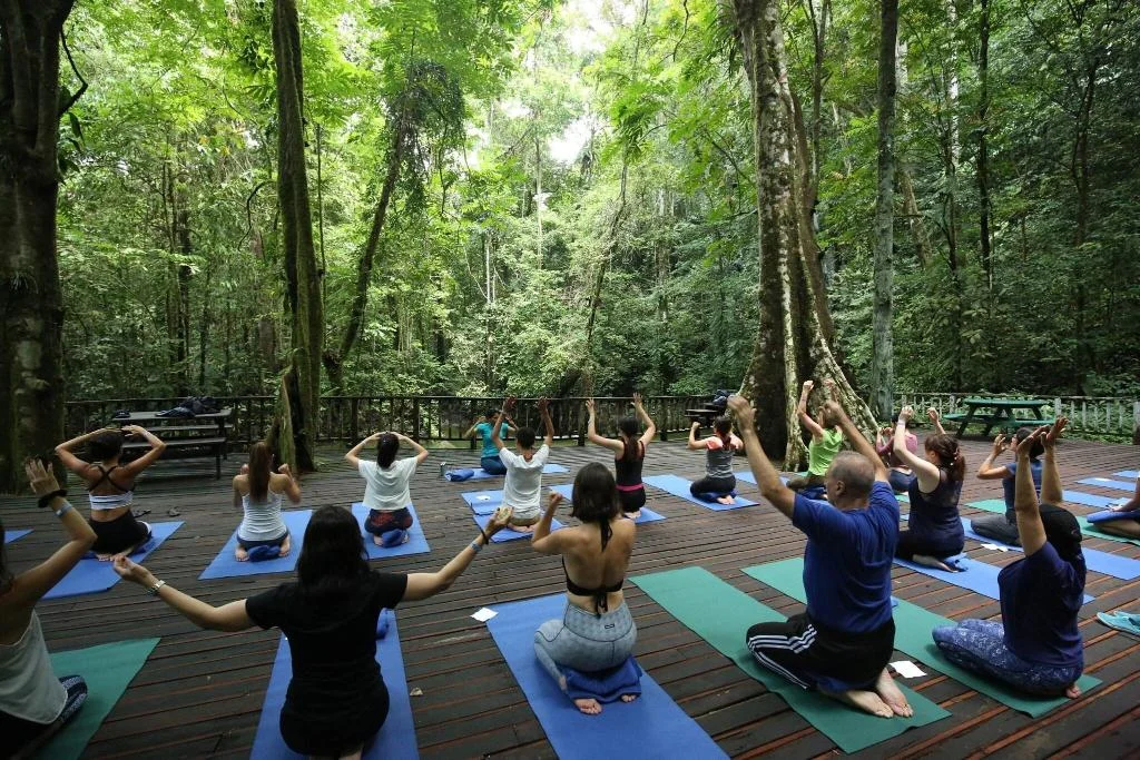 Mulu Marriott Resort and Spa hotel in Mulu
