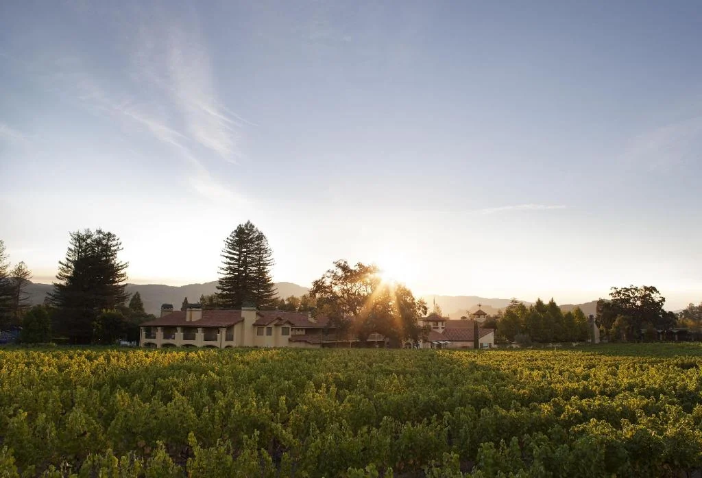 Napa Valley Travelodge hotel in Napa