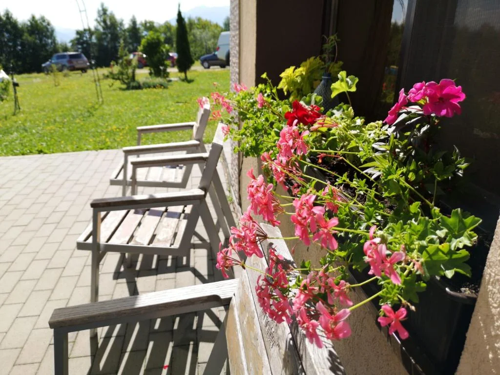 Pensiunea Poiana Izvoarelor hotel in Simon