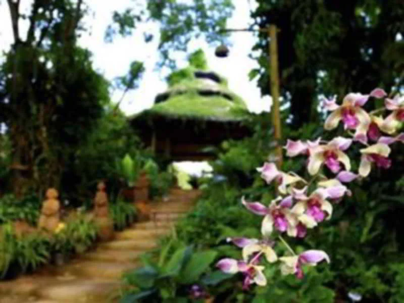 Phu Chaisai Mountain Resort hotel in Mae Suai