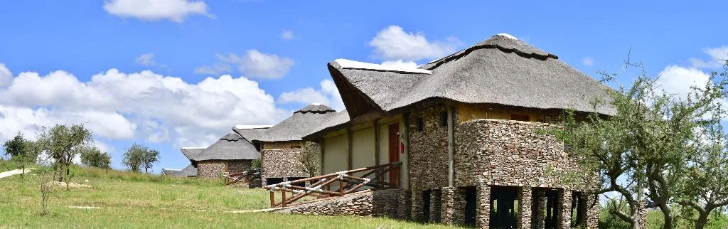 Serengeti Serena Safari Lodge hotel in Serengeti Central