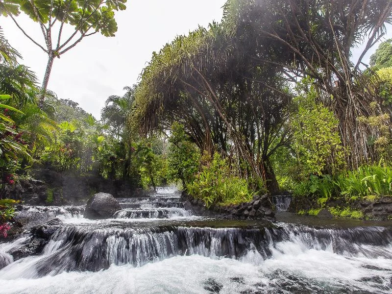 Tabacón Thermal Resort & Spa in Arenal, La Fortuna