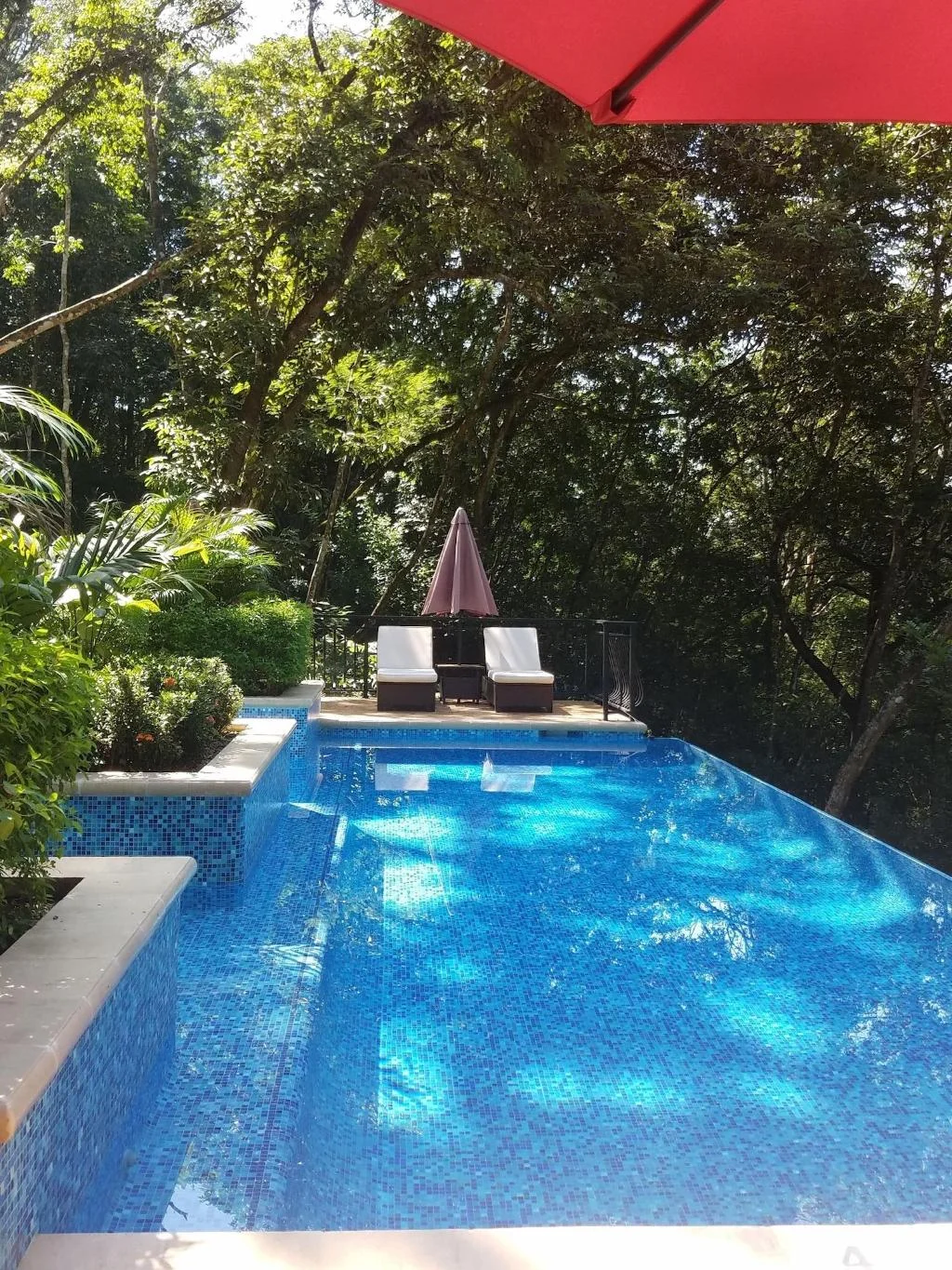 Table Rock Jungle Lodge hotel in San Jose Succotz