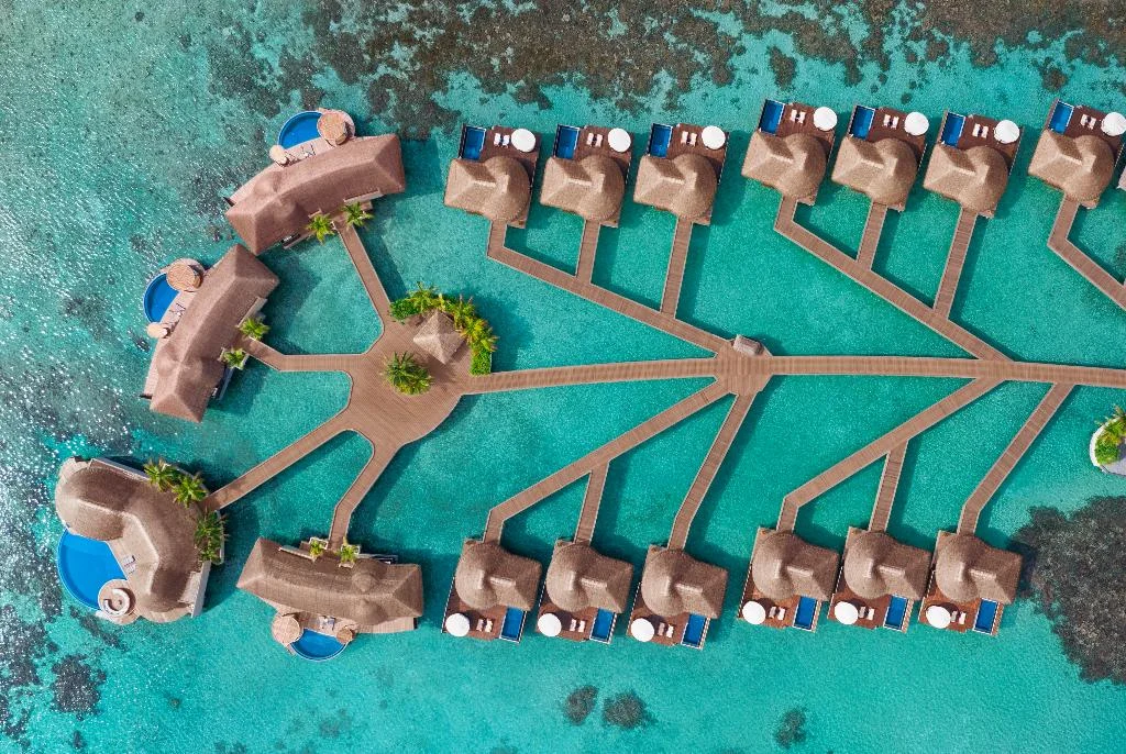 W Maldives hotel in Fesdu