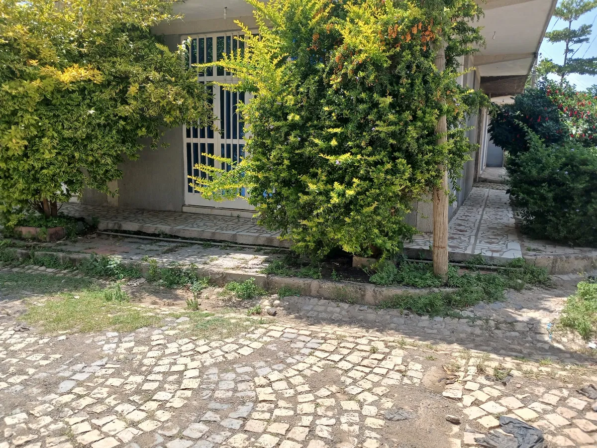 Aksum Yohana Furnished Guest House and Tour Arrangement, Axum exterior view