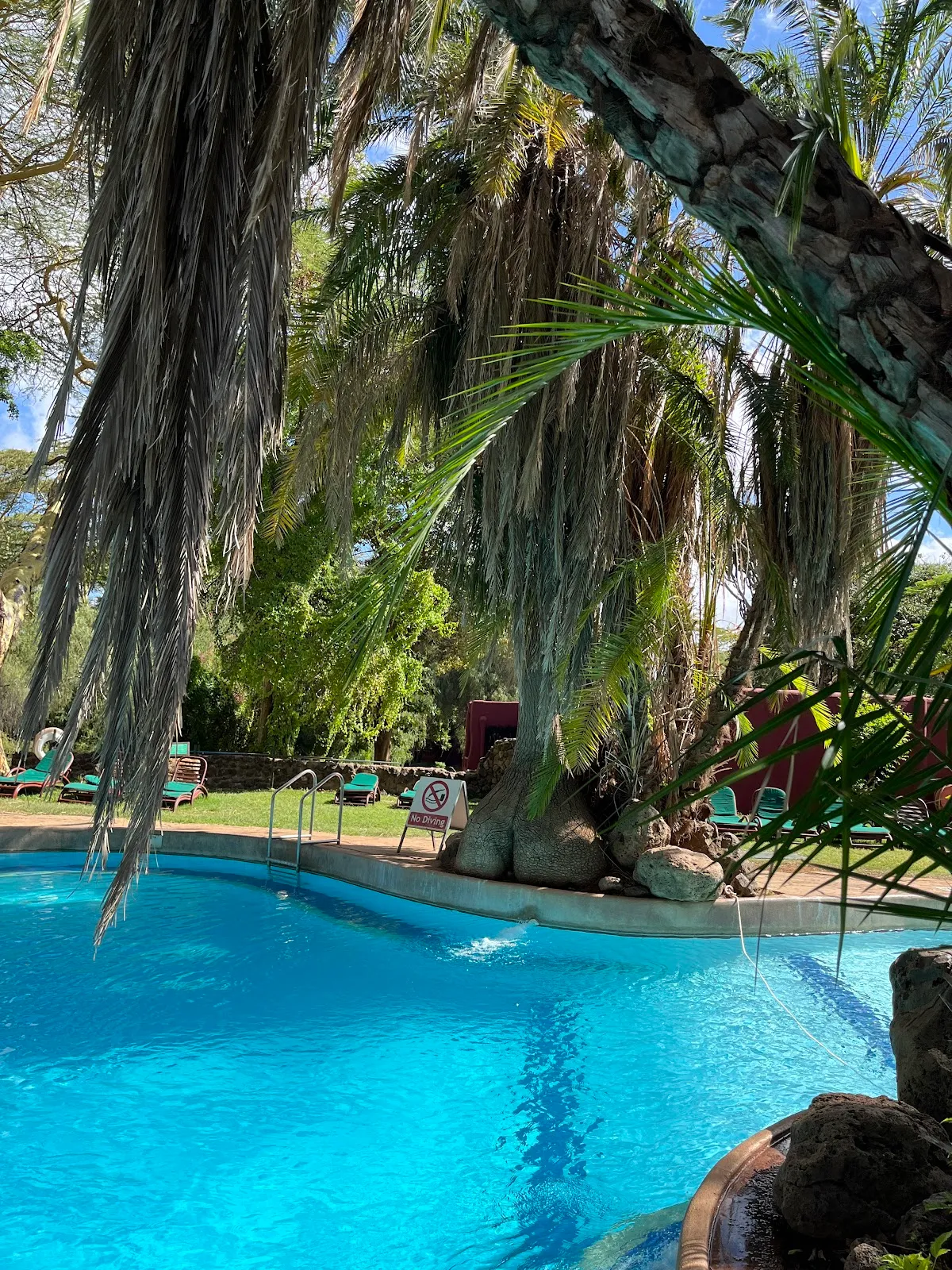 Amboseli Serena Safari Lodge, Amboseli exterior view