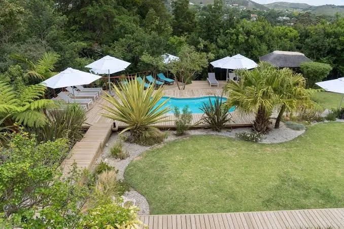 Armadillo Studios Guesthouse, Knysna exterior view