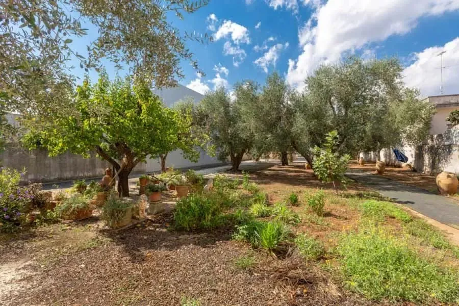 B & B Il Giardino, Puglia exterior view