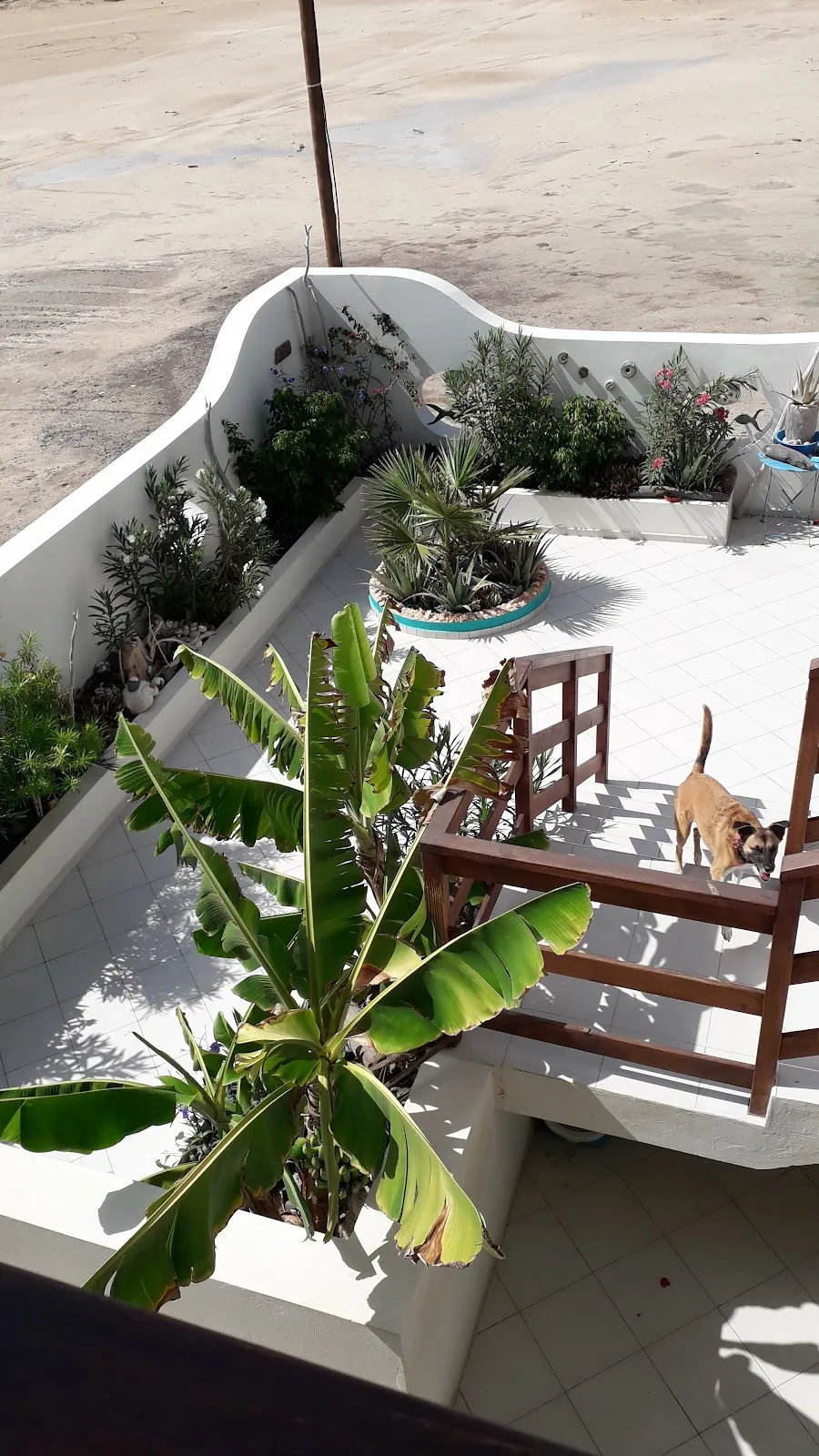 B&B Sereia Azul Boa Vista, Boa Vista exterior view