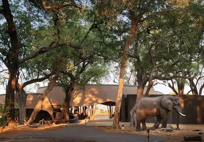 Belmond Safaris, Maun exterior view