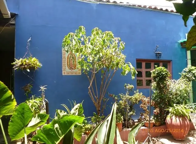 Casa Vieja Guest House, Santa Ana exterior view