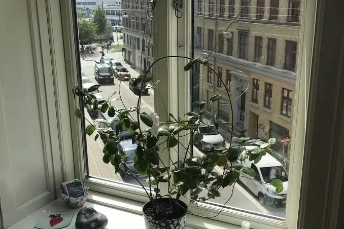 Charming Apartment near by Central Station., Copenhagen exterior view