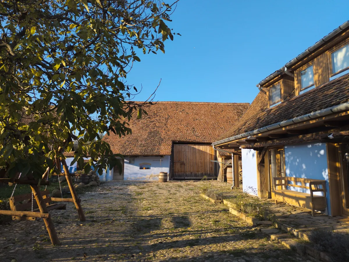 Haus Rether - Transylvanian Guesthouse in Bunești, Transylvania exterior view
