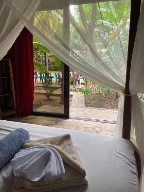 Hostal Casa Abierta - King Room with Pool View, Leon exterior view