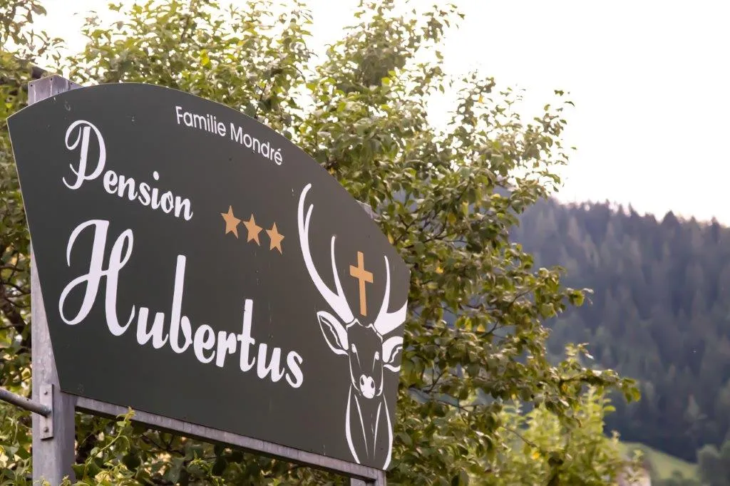 Hotel Pension Hubertus, Zell Am See exterior view