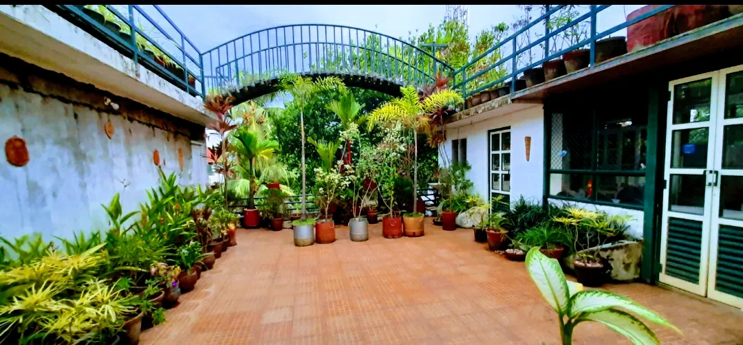 Jojie's Homestay, Kochi exterior view