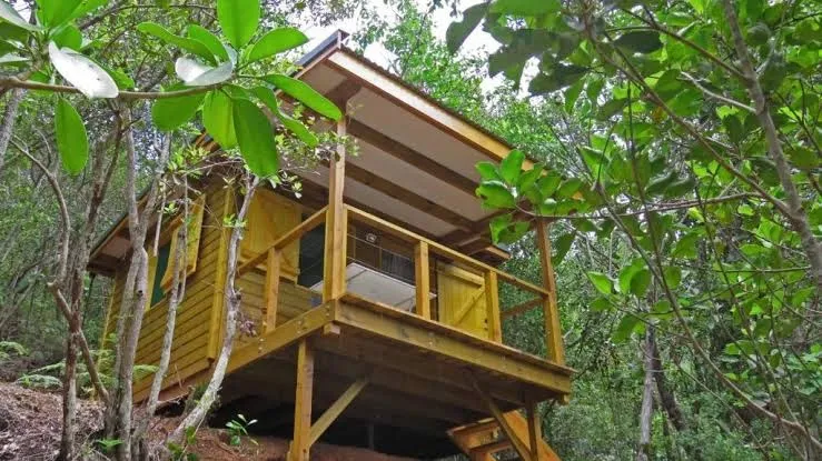 la Cabane de la Vallee - One-Bedroom Chalet, Noumea exterior view