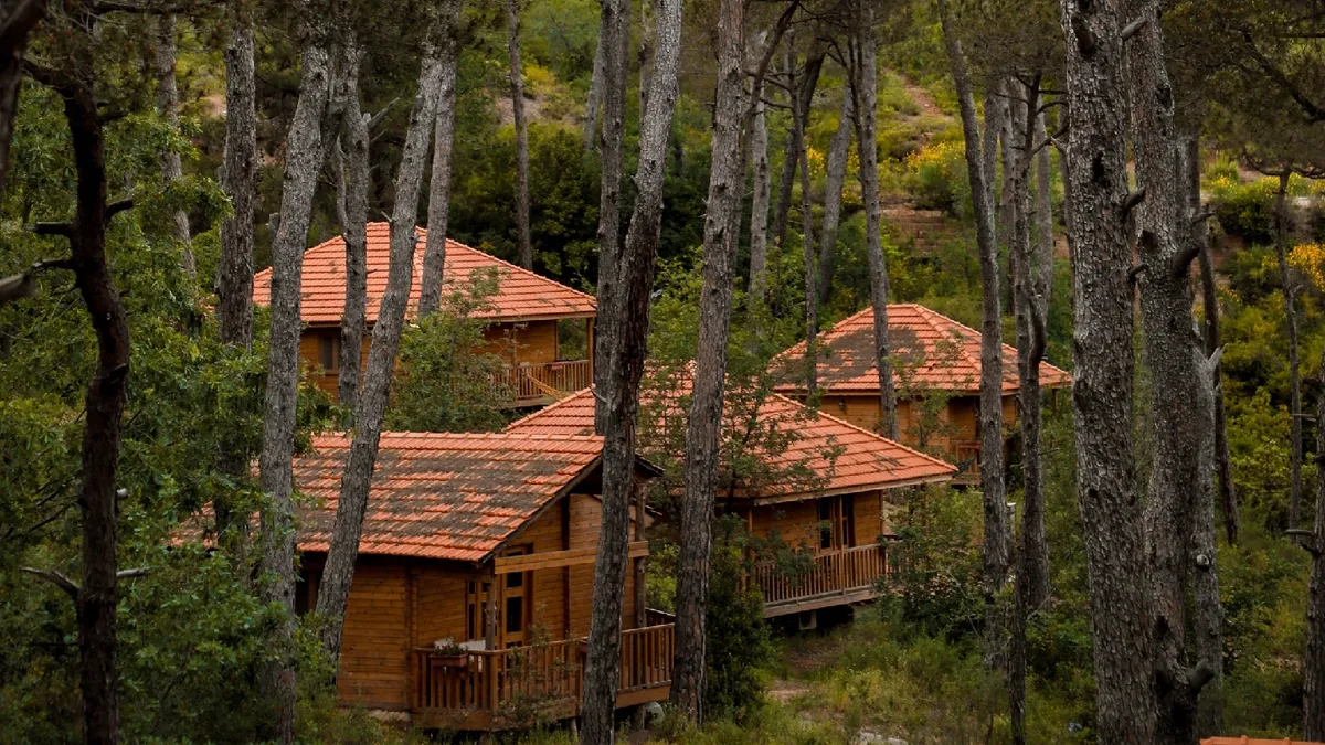 La Maison de la Forêt, Sidon exterior view
