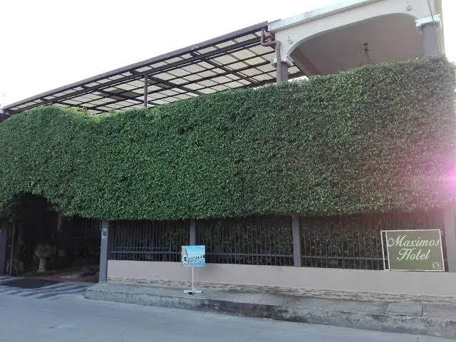 Maximos Petit Hotel, Flores exterior view