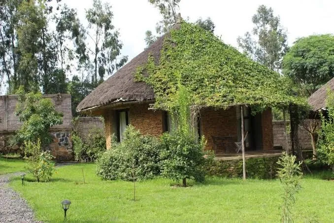 Mayleko Lodge - Family Bungalow, Gondar exterior view