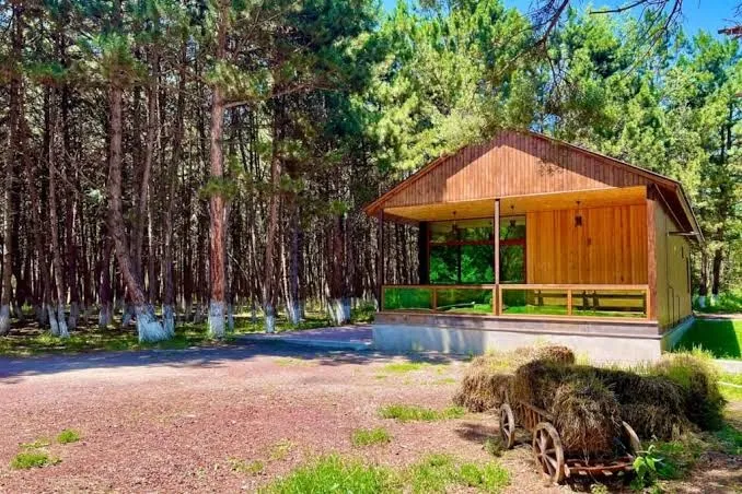 Milenium magic villa on Sevan beach - Two-Bedroom Villa, Sevan exterior view