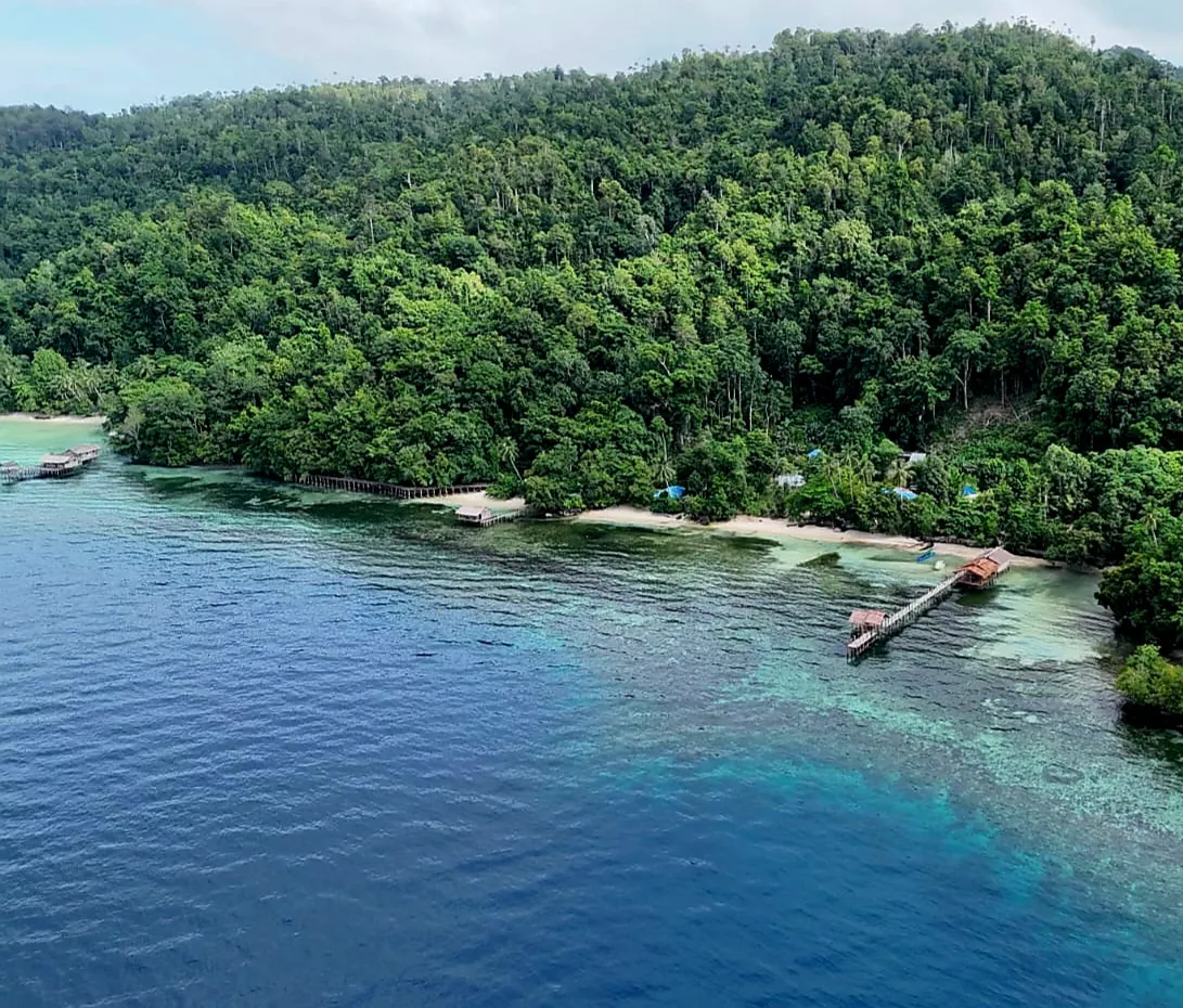 PapuArts Alter Native Stay, Raja Ampat exterior view