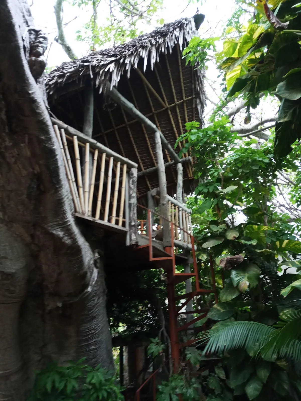 Pieter's Place, Pemba exterior view