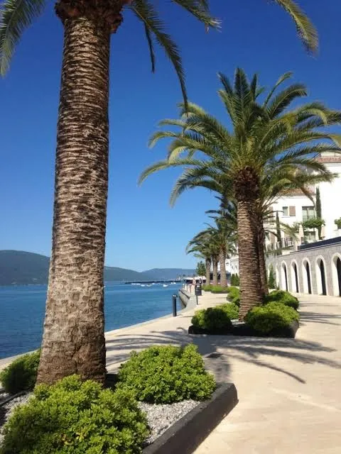 Private rooms - Tivat - Studio Apartment, Tivat exterior view