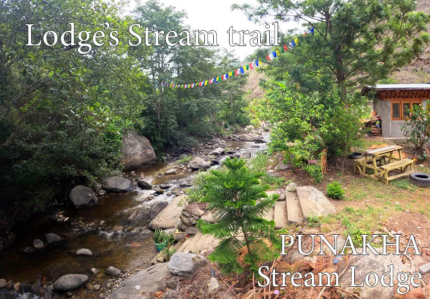 Punakha Stream Resort, Punakha exterior view
