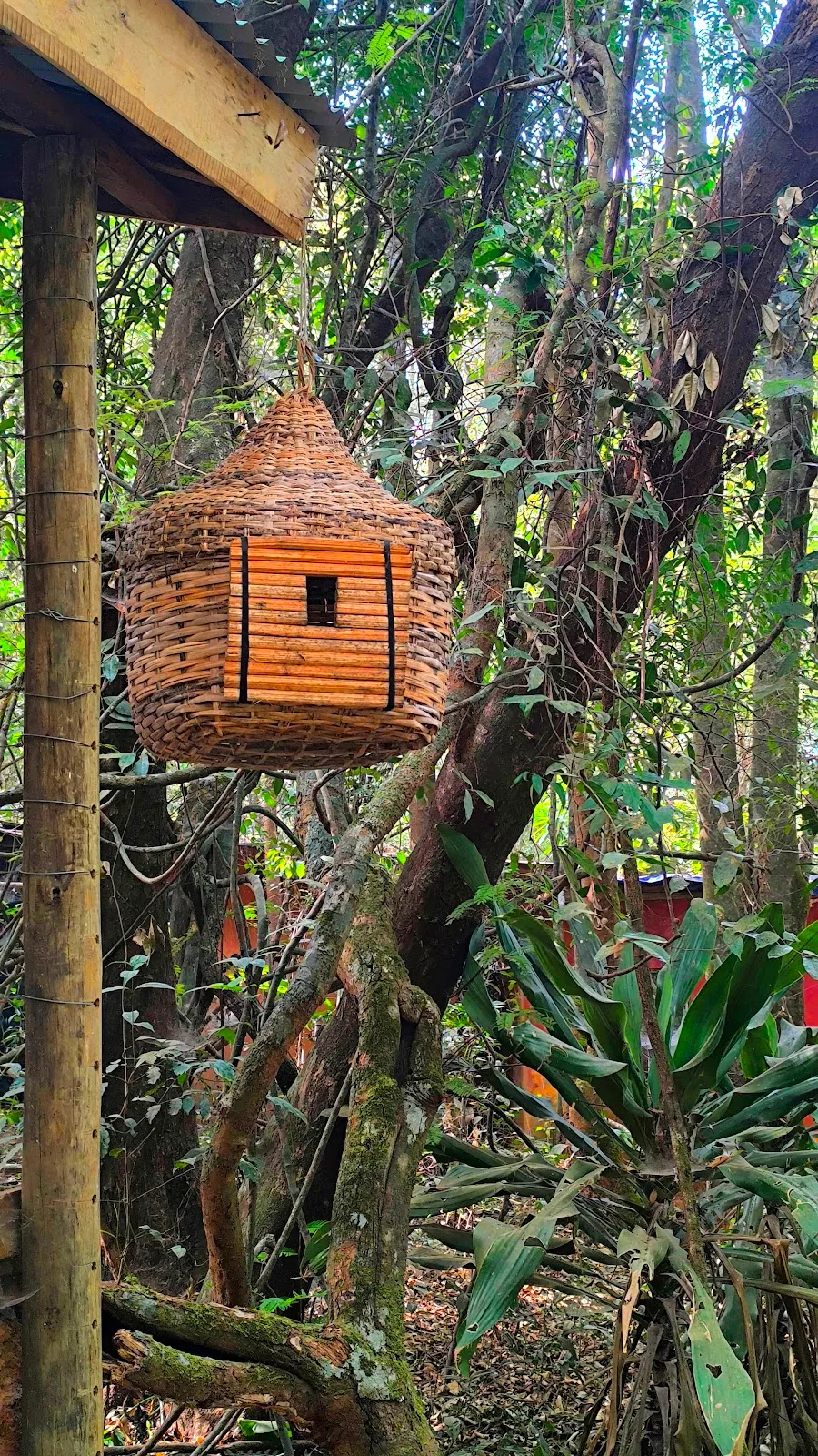 Tacugama Chimpanzee Sanctuary, Freetown exterior view
