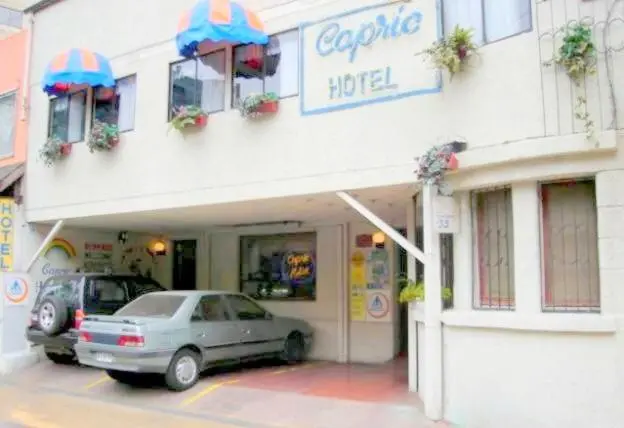 Hotel Capric hotel in Viña del Mar