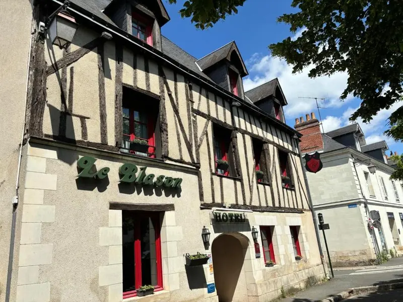 Hôtel Le Blason hotel in Amboise