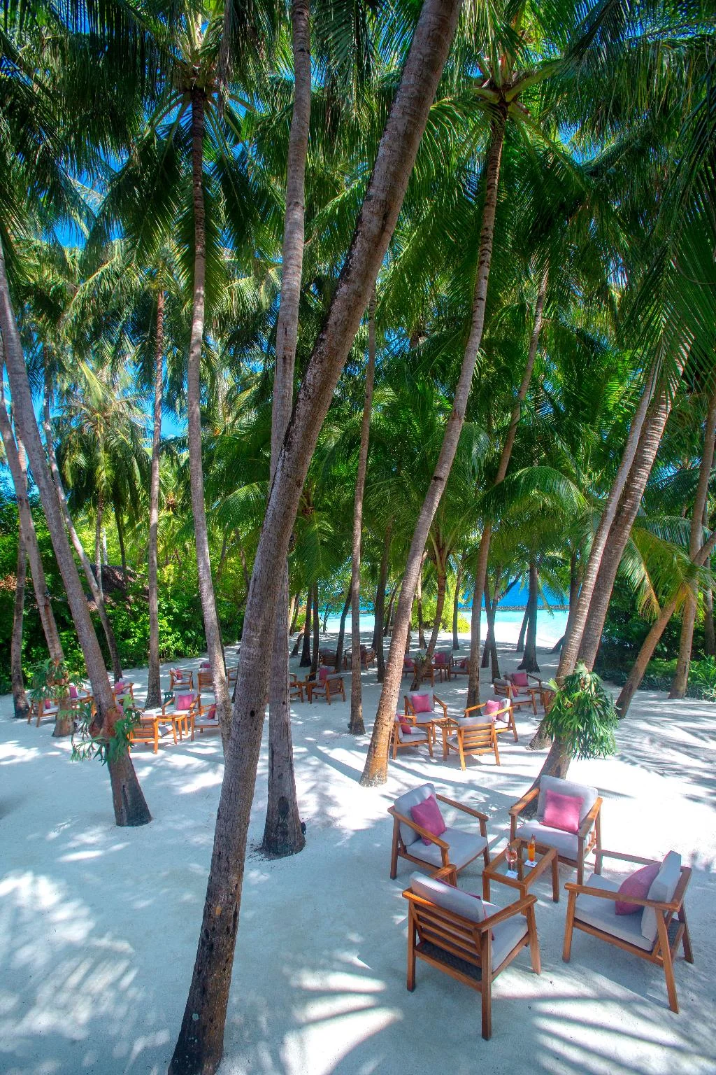 Coral Inn Maldives hotel interior