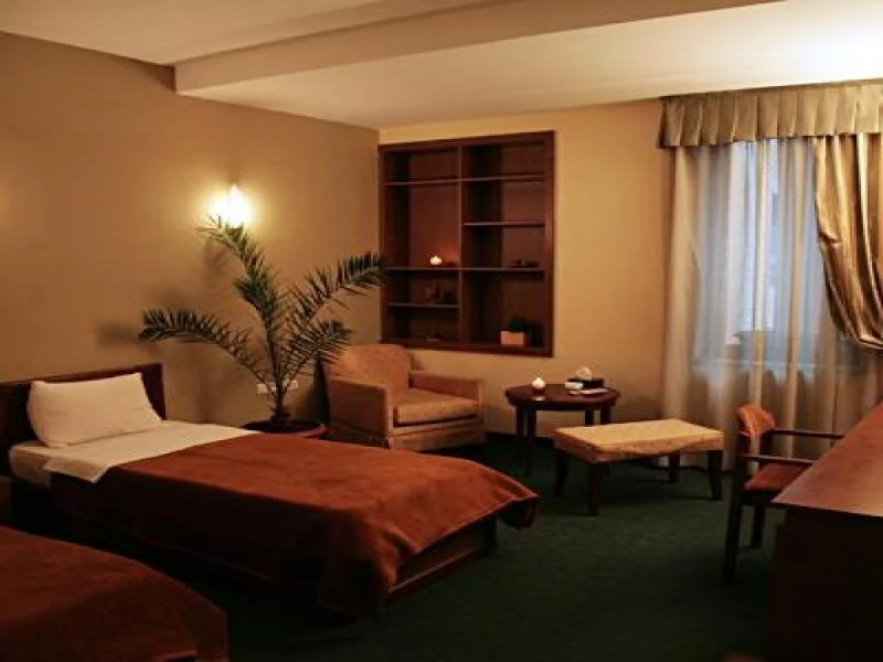 Hotel Ararat hotel interior