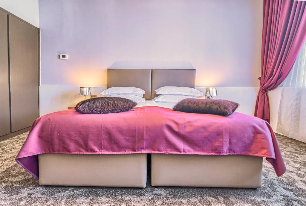 Hotel Istra hotel interior