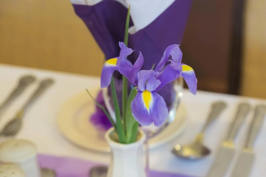 Laza Highland Hotel hotel interior