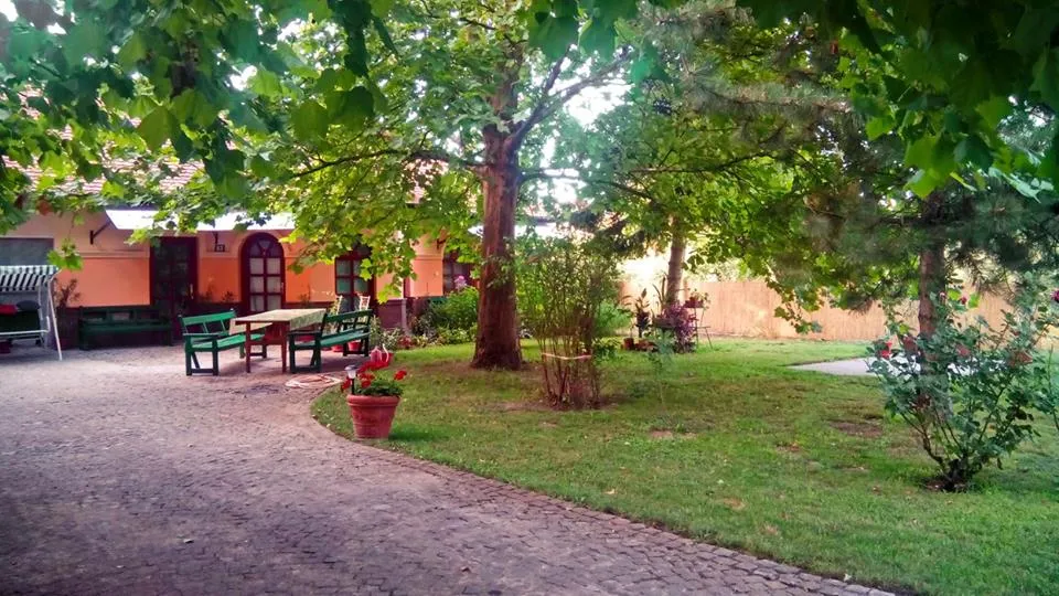 3 Platana rooms, Subotica interior view