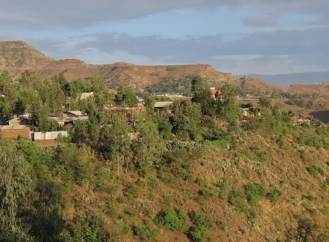 Amba Lodge Lalibela, Lalibela interior view