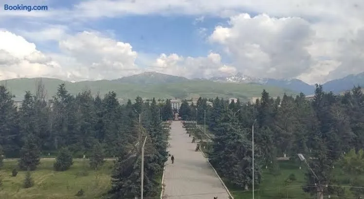 Apartment in the Karakol heart, Karakol interior view