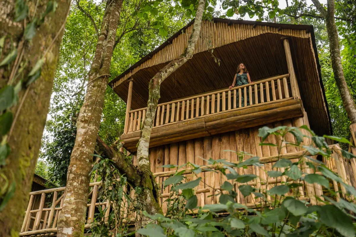 Buhoma Lodge - Bwindi Impenetrable Forest, Bwindi interior view