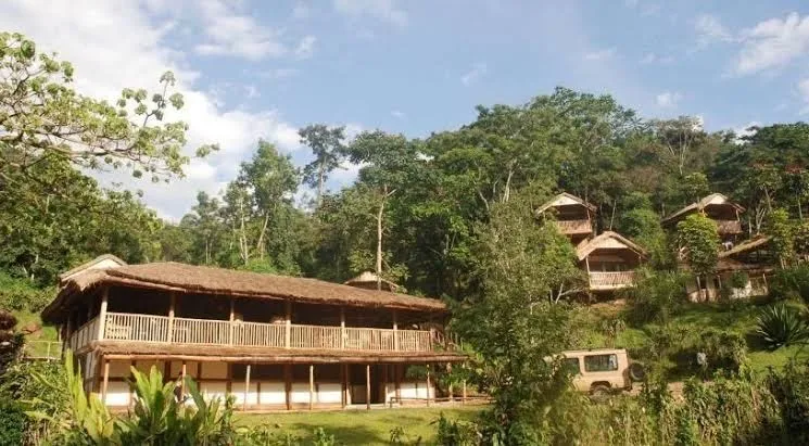 Bwindi Forest Lodge, Bwindi interior view